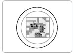 PIN-Preamp-Optical-Module_s.jpg